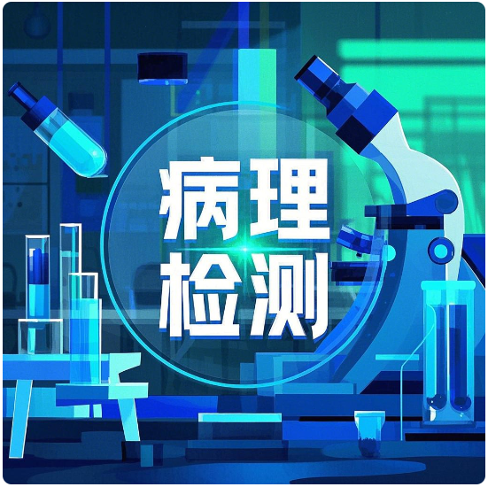 QQ20250311-114918.png