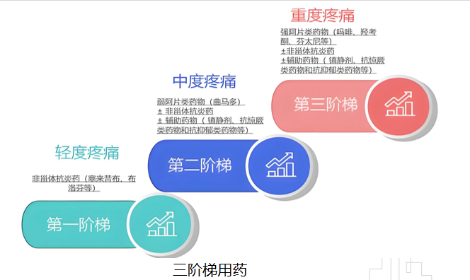 image001.png image001.png